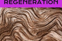 ヤマハ発動機、自然の知恵を活かしたビジネスデザインを探る「PLAY for REGENERATION」第5弾開催…12月22日 画像