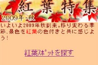 いつもNAVIで紅葉特集 画像