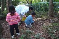 さがみ縦貫道でどんぐり拾い、地域性苗木植樹へ 10月19、30日 画像