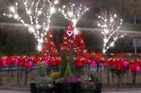 【クリスマス】恋人の聖地---ペア宿泊券やペアリフト券が当たる 画像