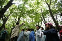 ブリヂストン、森林整備活動を実施 画像