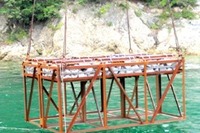 鉄鋼スラグを利用した海洋環境修復の実証実験 画像
