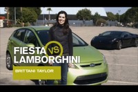 ［動画］フィエスタ vs ガヤルド　いっぷう変わった対決 画像