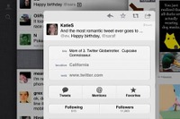 米ツイッター、「Twitter for iPad」をリリース 画像