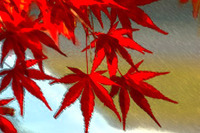 【ガソリン価格チェック】紅葉 & 温泉、那須塩原の最安値は? 画像