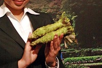 ワサビアカデミー2010…意外にキク、というお話し 画像