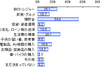 冬のボーナス、車・バイクの購入は2.3%で最少…楽天リサーチ 画像