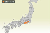 花粉シーズン突入…東京、神奈川、静岡 画像