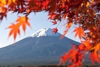 ミシュラン、訪日旅行者向けガイドブックを4月に改訂 画像