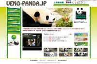 白黒つける 上野動物園が再開でパンダ公開 画像