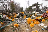 【東日本大震災】電柱は海から陸の方向へ倒れていた 画像