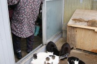 【東日本大震災】被災地の証言…田代島 あんな揺れは生まれて初めて 画像