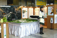 【東京ショー2003速報】こんなところにブースが!---愛知博 画像