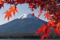 ミシュラン、訪日観光を促進へ…日本旅行ガイドをフランスで発売 画像