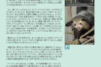 パンダは興奮、バクは動じず…震度5強、上野動物園 画像