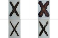 住友金属、新耐食高張力鋼を開発 橋梁用 画像