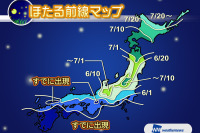 ウェザーニューズ、ホタルの出現傾向を配信 画像