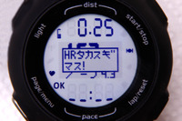 トレーニング管理もクラウドが当たり前の時代…GARMIN ForeAthlete210 画像