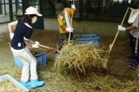【夏休み】動物園サマースクール…飼育員や獣医の手伝い体験 画像