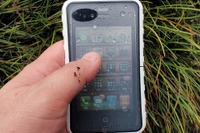 夏に iPhone用防水ケース…IPX7準拠 画像