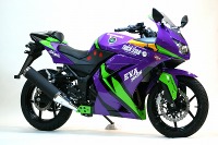 エヴァンゲリオンRT初号機Ninja250R、トリックスターから発売 画像