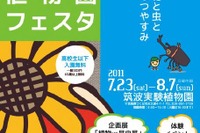【夏休み】植物を使った5種類の工作 画像