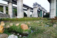 新東名の的場高架橋、ホタルを守って竣工 画像