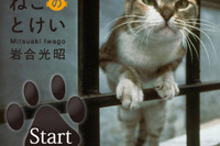 ネコたちが時刻をお知らせ 画像