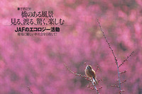 花粉症の季節来る!!---フィルターの効き目 画像