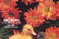 とっておきの品々みつけに出かけませんか? 画像