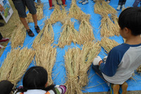 首都高で子ども達が自然体験…GREEN METROPOLIS 画像