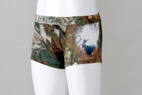 男のパンツには日本一の富士山!! 画像