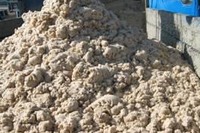 馬鈴薯かすからエタノール 双日など実証事業 画像