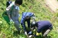 カレコ・カーシェアリング、走行距離に応じて植樹 画像