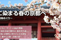 春の京都へ~桜名所と美味めぐり---MapFan Web 観光楽地図 画像