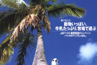 エコ10ドライブで、あなたも環境対策 画像
