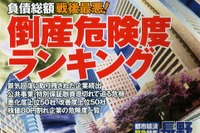 今一番アブない自動車メーカーはココ 画像