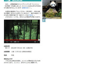上野動物園パンダの赤ちゃん、映像と鳴き声をネット公開 画像