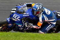 【鈴鹿8耐】TSRが2年連続3度目の優勝 画像