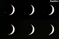 金星食、8月14日未明…26年ぶり 画像