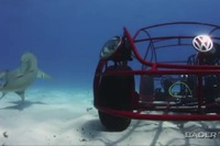 VW ザ・ビートル の「シャークケージ」…海底でサメと泳ぐ［動画］ 画像