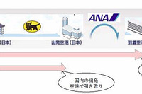 ANAとヤマト運輸、国際線の手ぶらサービスを提供開始 画像