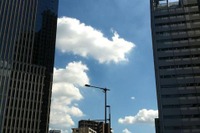 汗が滴る、いい女ランキング 画像