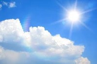 業務用食品大手、神戸物産が太陽光発電事業に参入 画像