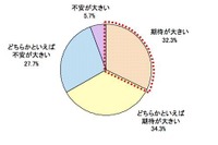 2013年度の新社会人「将来ありたい姿がある」9割強 画像
