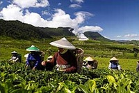 三菱商事、インドネシアで地熱発電の運営に参画 画像