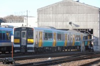 『水郡線営業所まつり』にSL C11が登場…11/23 画像