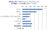 イクメン雑誌が「ちょうどいい」クルマを調査…夫は“ミニバン”、妻は“プチバン” 画像