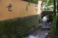 杭州 日本茶の原点を見に行く(3)中天竺 法浄禅寺 画像