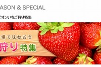マピオン、いちご狩り特集を公開 画像
